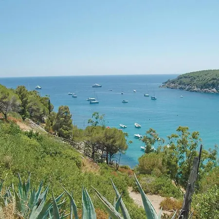 Casa Virginio 別荘